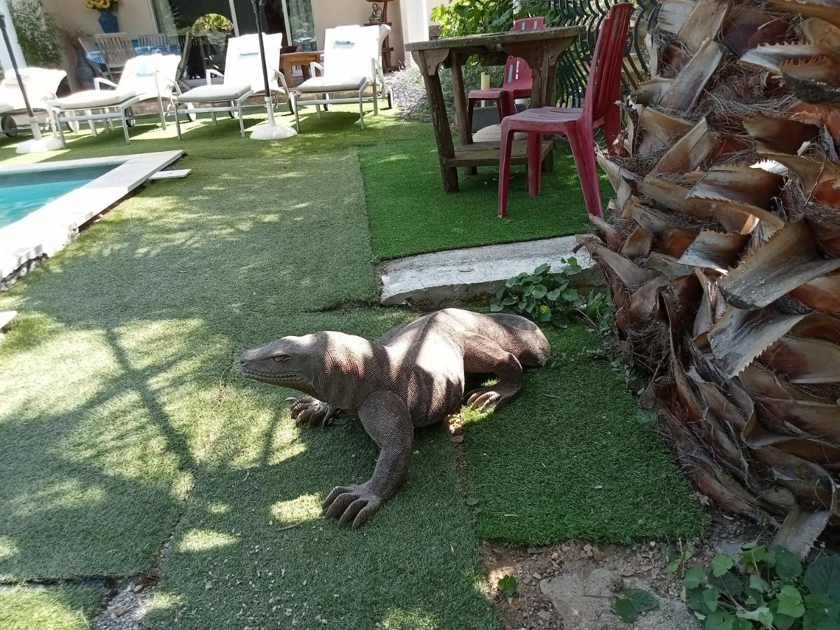 Villa La Croisette サント・マキシム エクステリア 写真